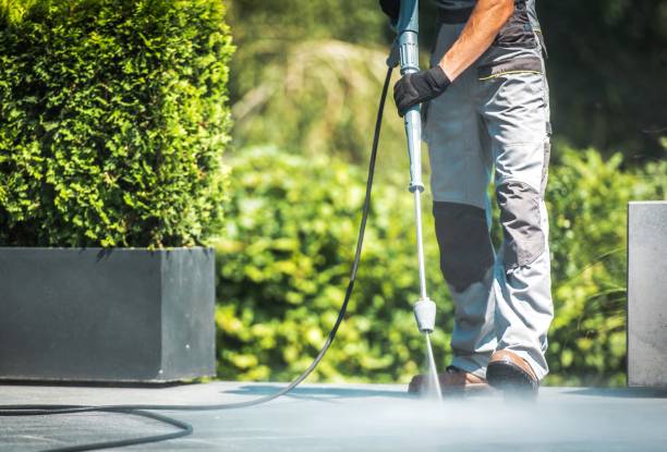 Animal Enclosure Cleaning in Mena, AR